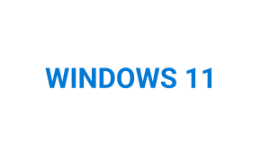 Windows 11